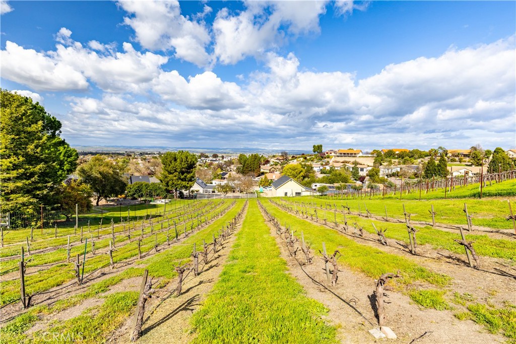 MLS #NS25064450 image #66