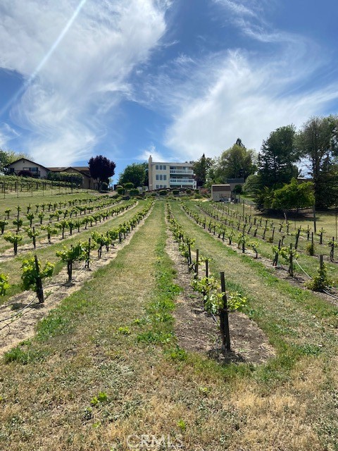 MLS #NS25064450 image #67