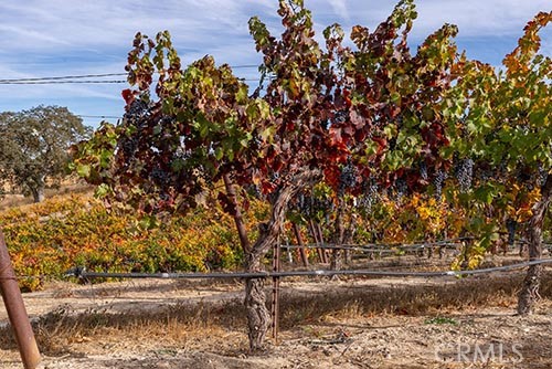 MLS #NS25065169 image #11