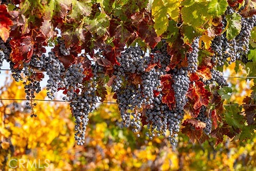 MLS #NS25065169 image #12