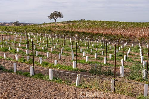 MLS #NS25065169 image #13