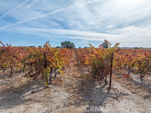 MLS #NS25065169 image #6