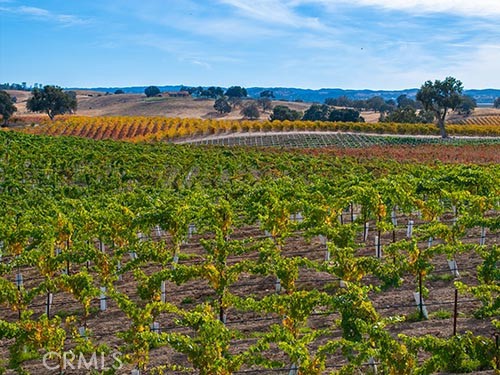 MLS #NS25065169 image #8