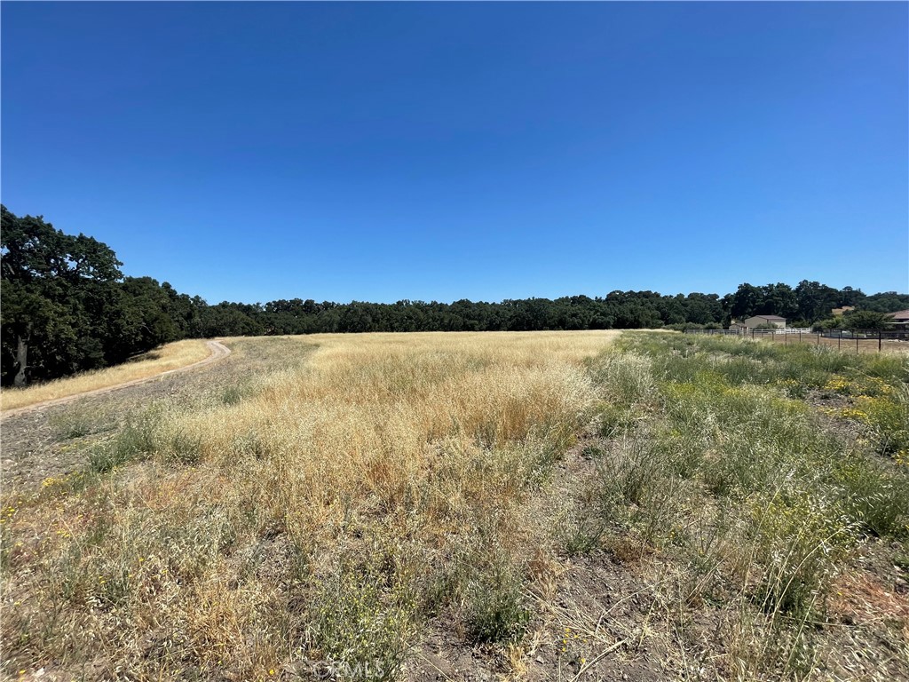 MLS #NS25074590 image #0