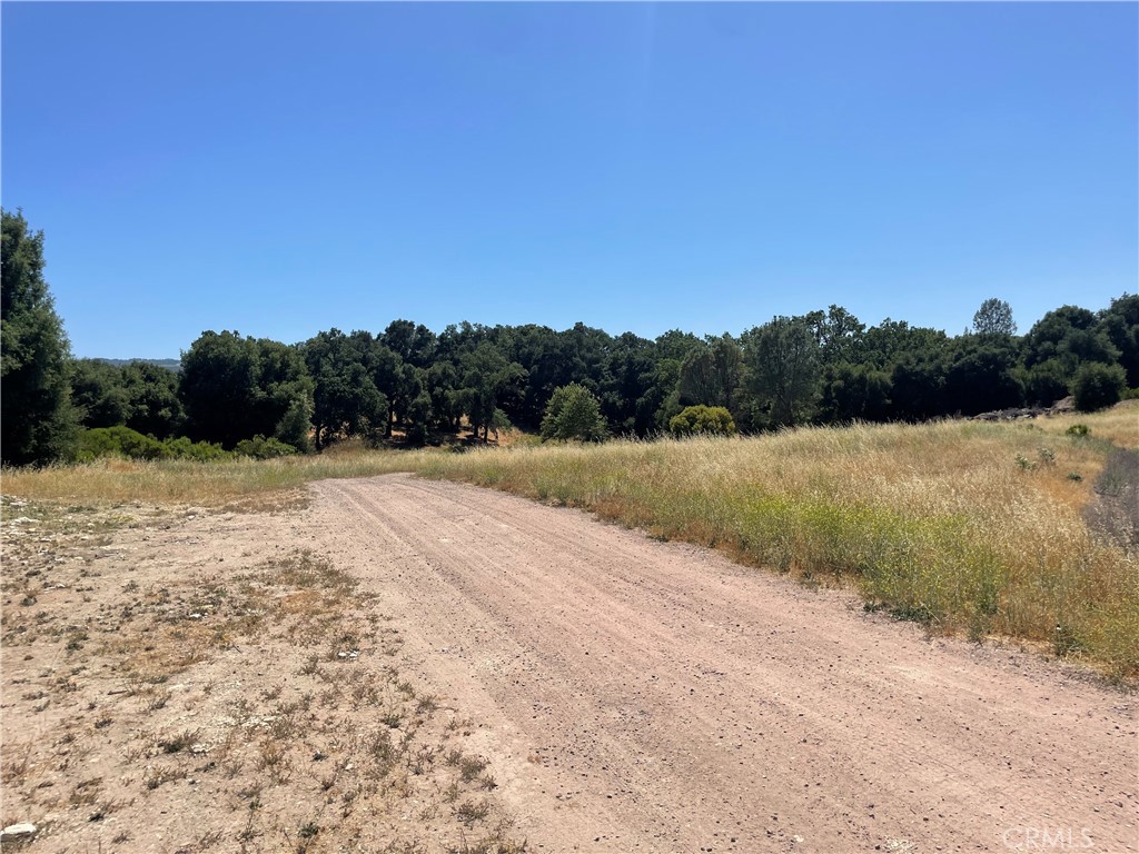 MLS #NS25074590 image #3