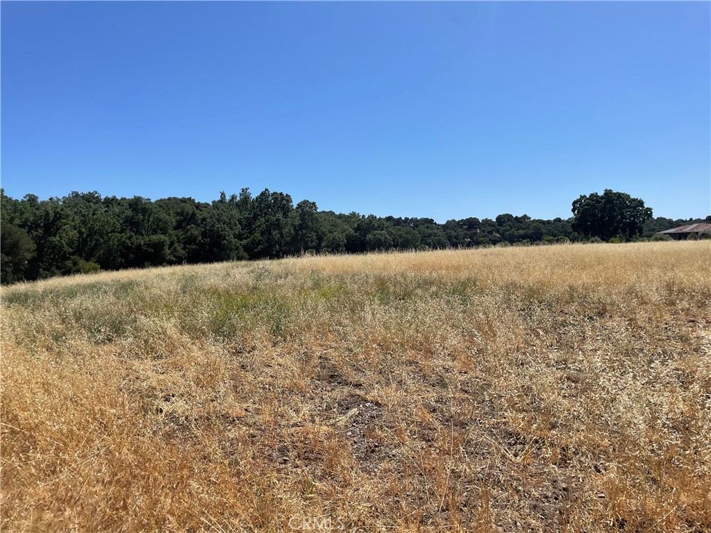 MLS #NS25074590 image #4