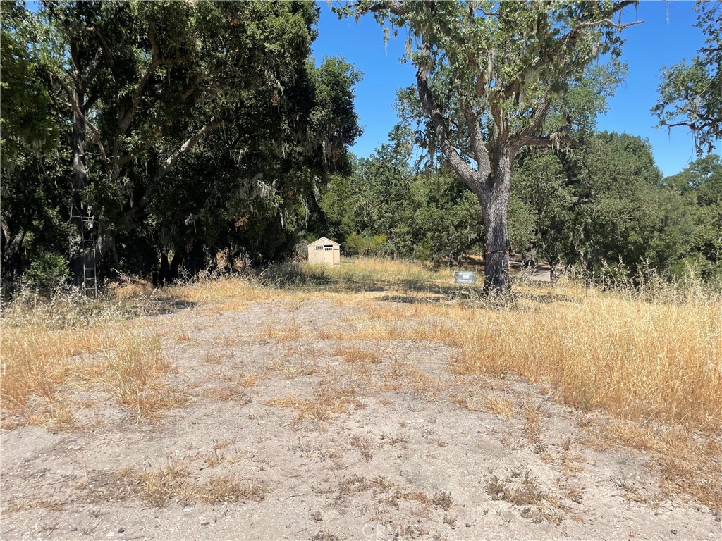 MLS #NS25074590 image #5