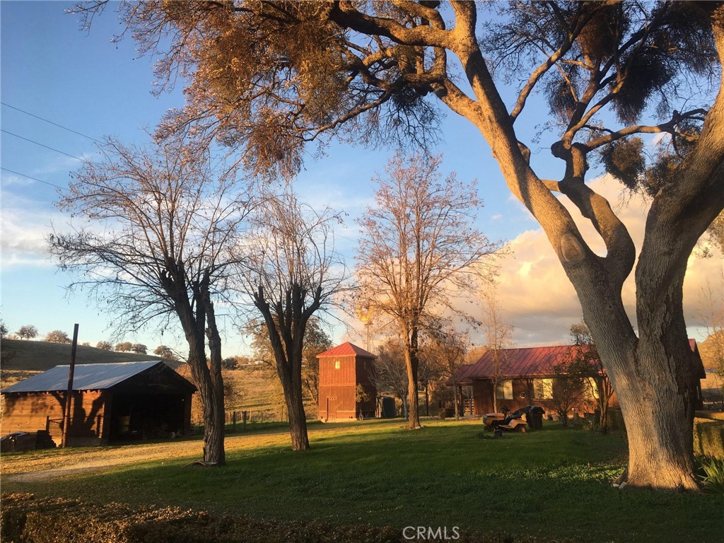 MLS #NS25074868 image #0