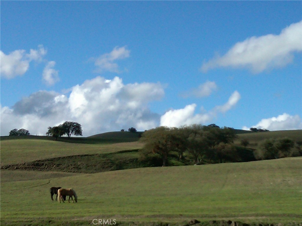 MLS #NS25074868 image #1