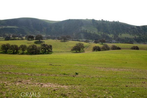 MLS #NS25074868 image #11