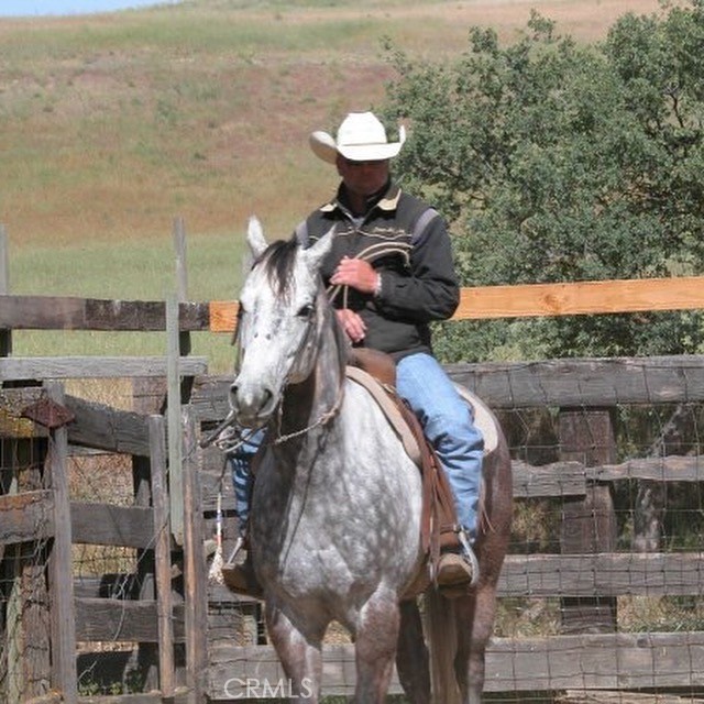 MLS #NS25074868 image #15