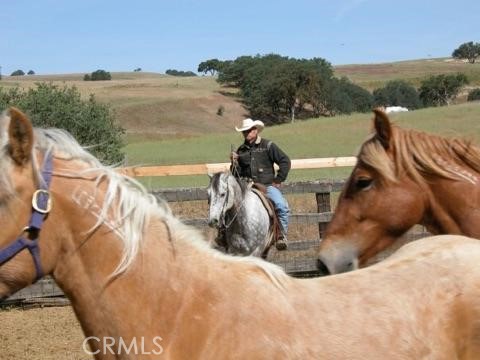 MLS #NS25074868 image #16