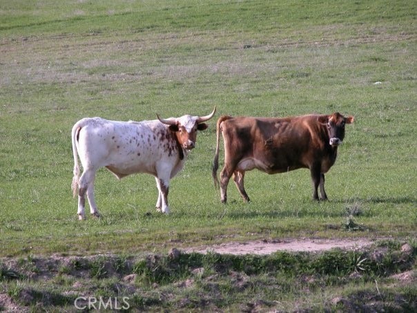 MLS #NS25074868 image #18