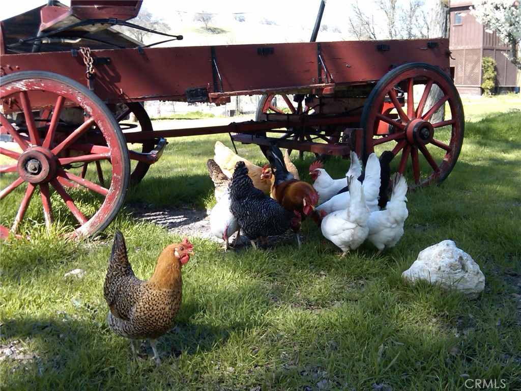 MLS #NS25074868 image #21