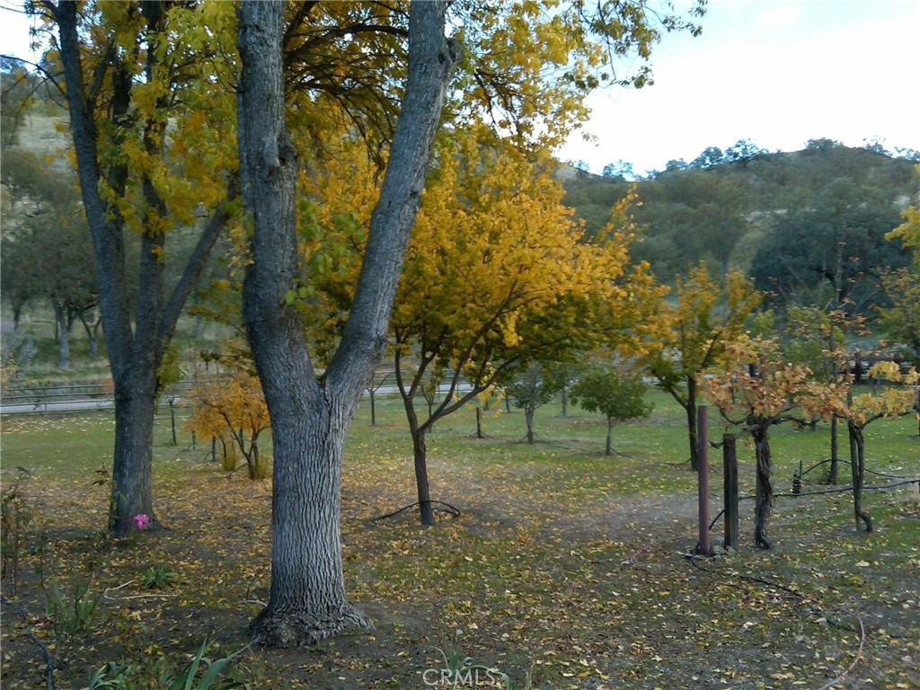 MLS #NS25074868 image #22