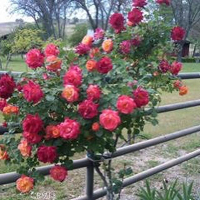 MLS #NS25074868 image #28