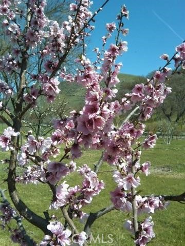 MLS #NS25074868 image #29