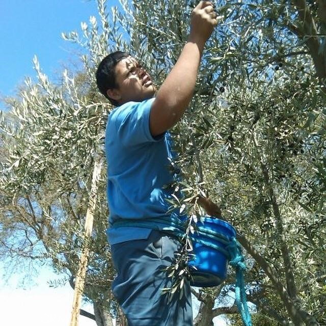 MLS #NS25074868 image #30