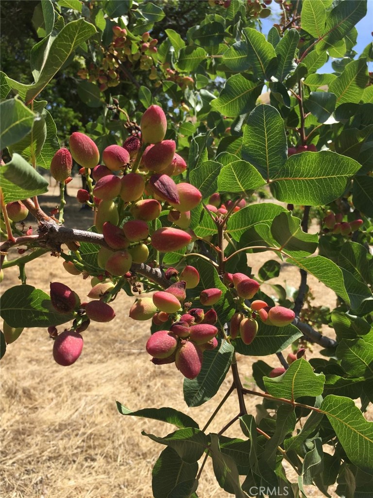 MLS #NS25074868 image #31