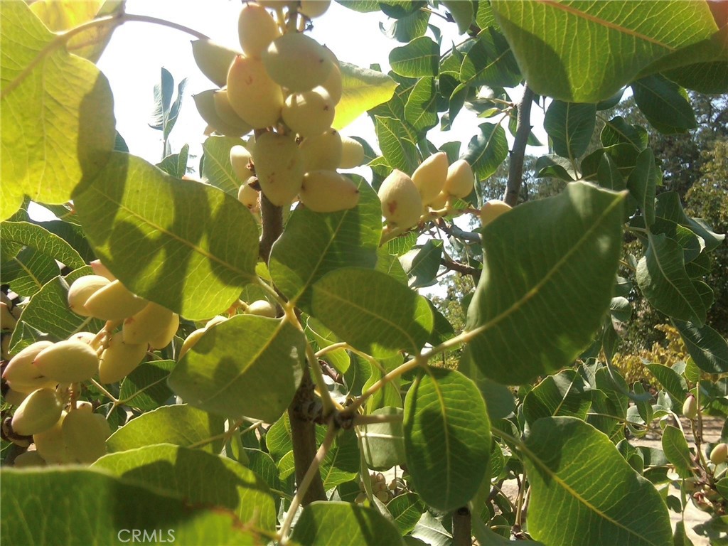 MLS #NS25074868 image #33