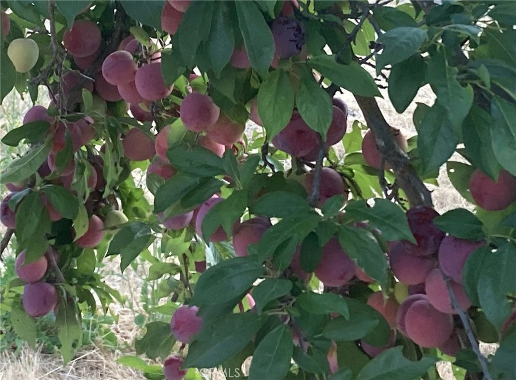 MLS #NS25074868 image #34