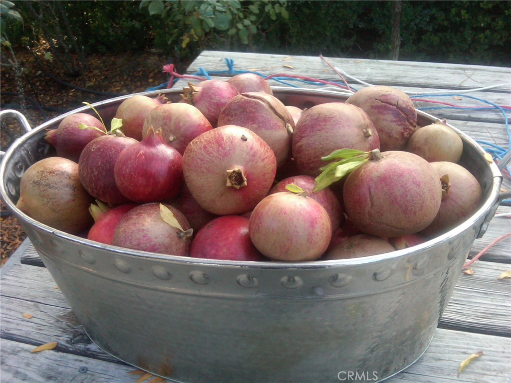 MLS #NS25074868 image #35