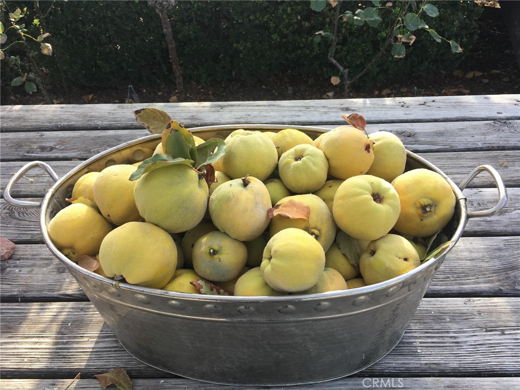 MLS #NS25074868 image #36