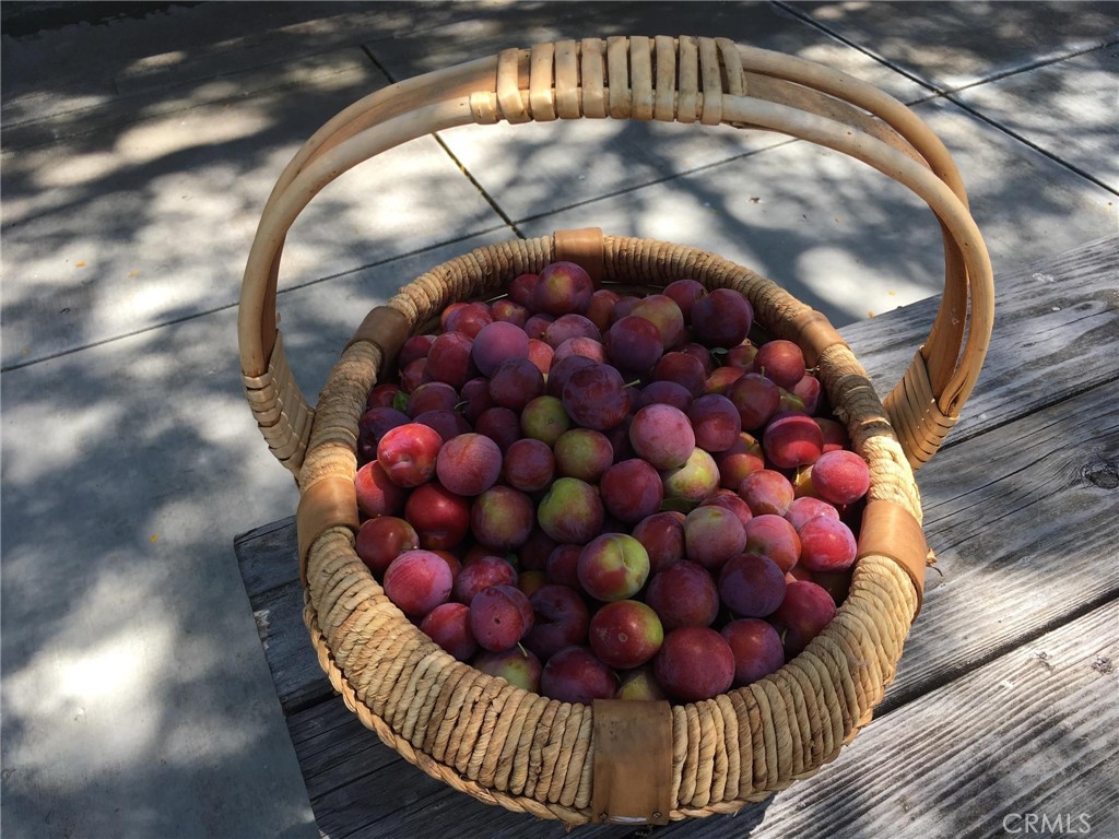 MLS #NS25074868 image #37