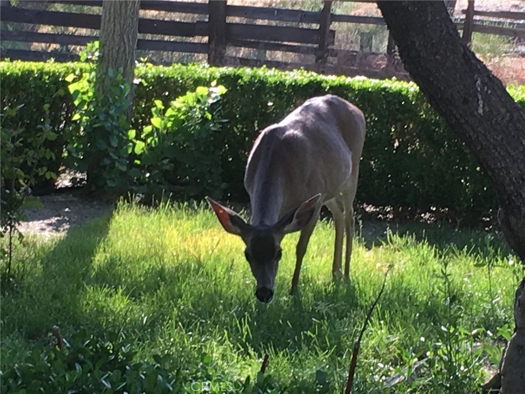 MLS #NS25074868 image #38