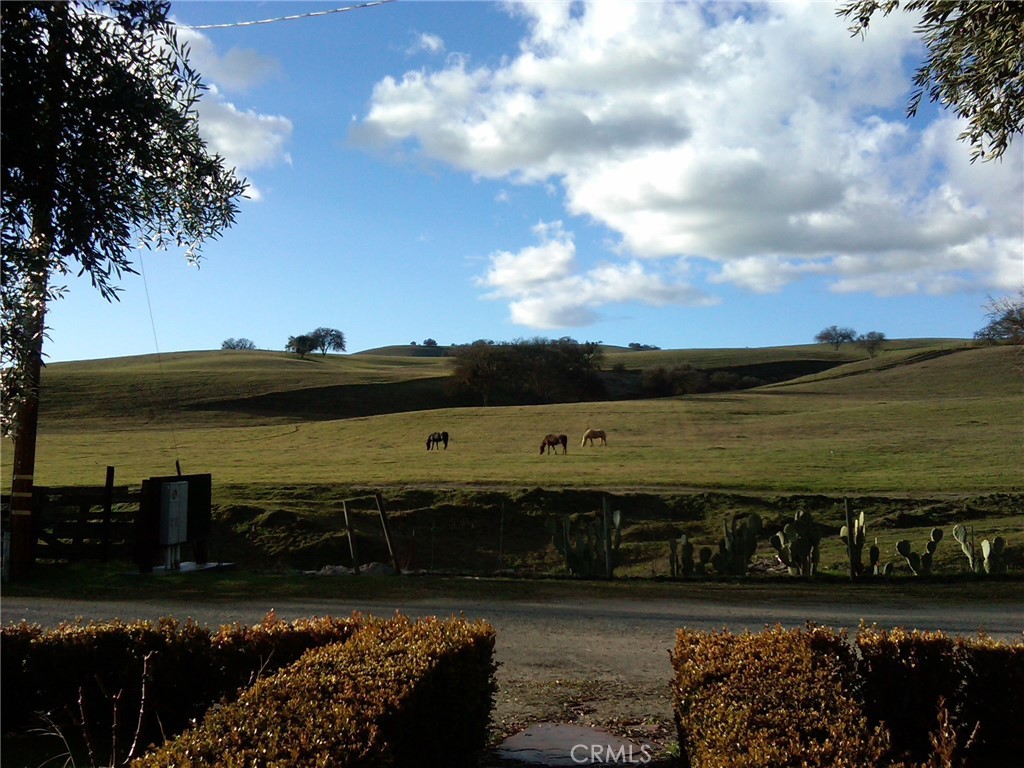 MLS #NS25074868 image #4