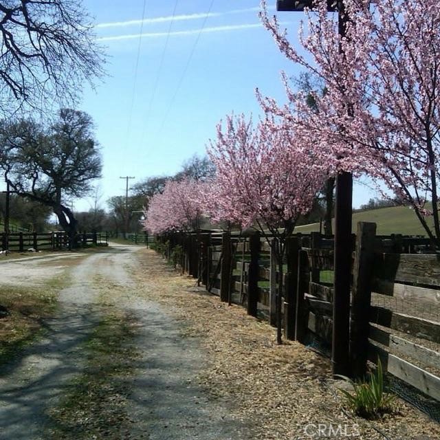 MLS #NS25074868 image #5