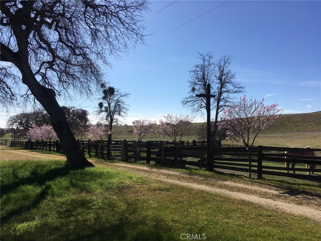 MLS #NS25074868 image #9