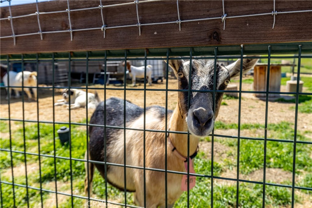 MLS #NS25078140 image #51