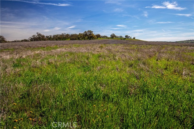 MLS #NS25081081 image #22
