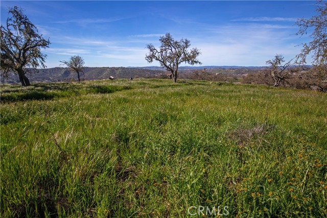 MLS #NS25081081 image #31