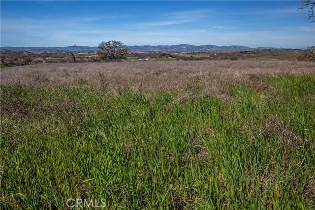 MLS #NS25081081 image #36