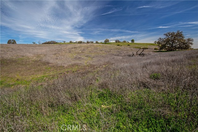 MLS #NS25081081 image #37