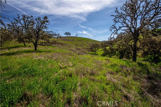 MLS #NS25081081 image #41