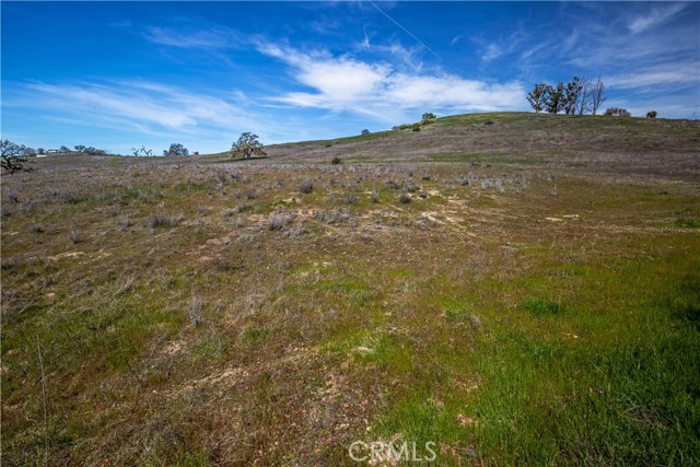 MLS #NS25081081 image #43