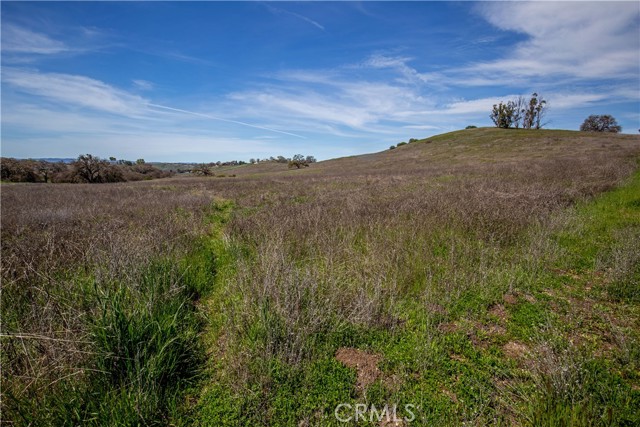MLS #NS25081081 image #44