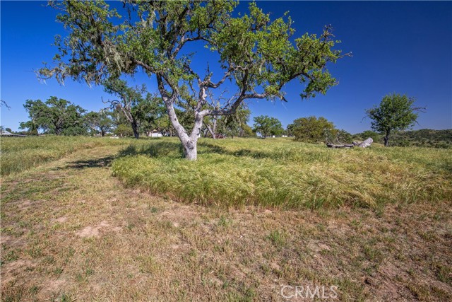 MLS #NS25081081 image #6