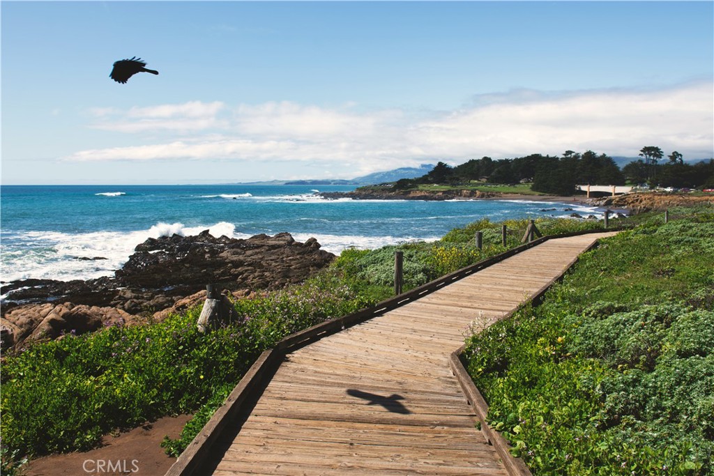 MLS #NS25084174 image #24