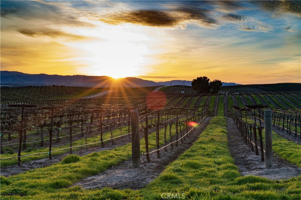 MLS #NS25084174 image #27