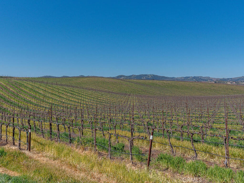 MLS #NS25089723 image #52