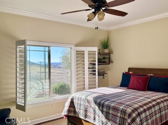 MLS #NS25090489 image #22