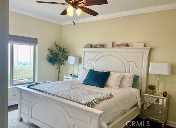 MLS #NS25090489 image #23