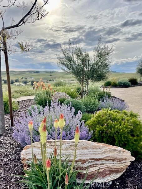 MLS #NS25090489 image #33