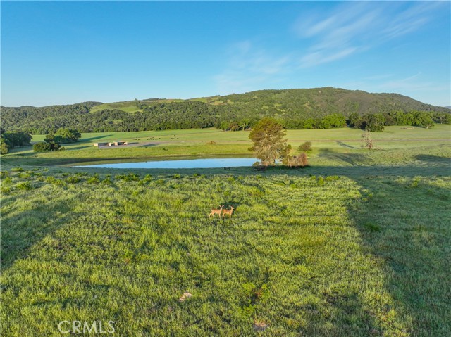 MLS #NS25093130 image #50
