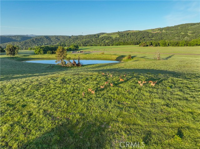 MLS #NS25093130 image #51