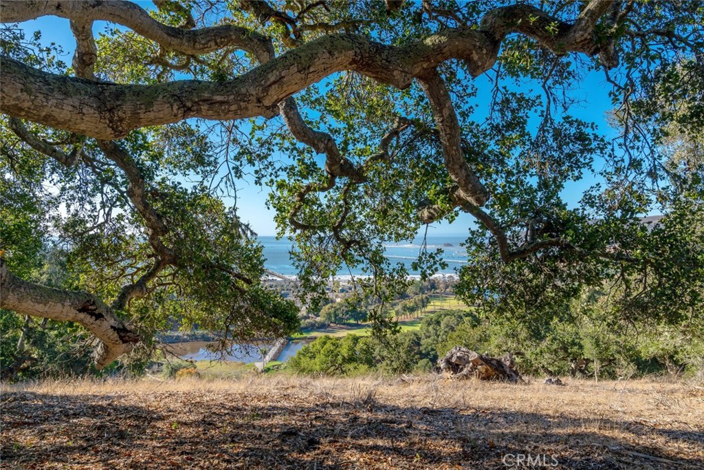 MLS #NS25097350 image #11